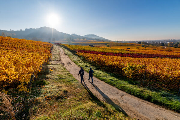 Wandern in der Region